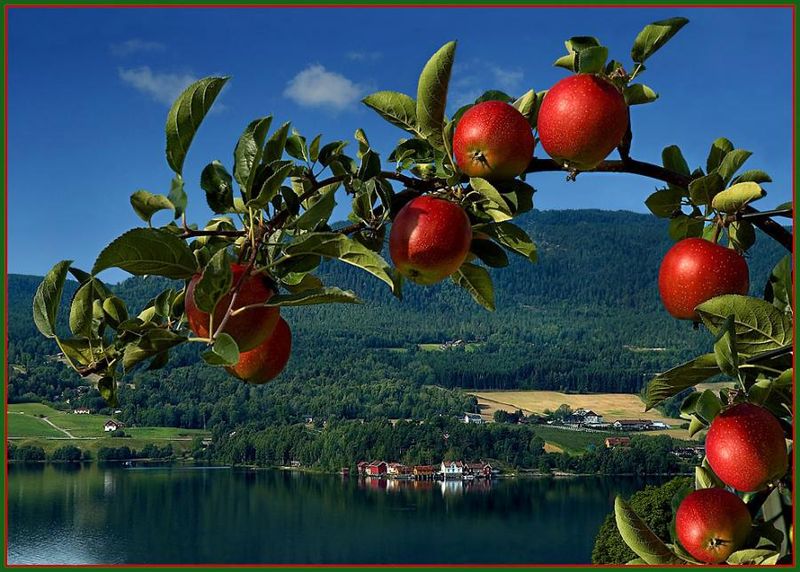 Vous avez de magnifique images