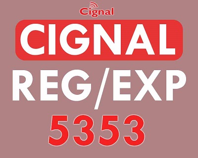 5353-5.jpg