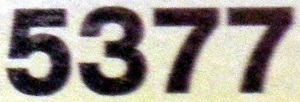 n5377.jpg