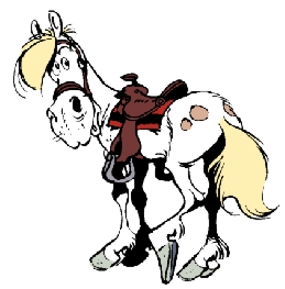 JollyJumper.jpg