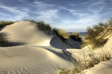 dunes-oleron-2-gif.jpg