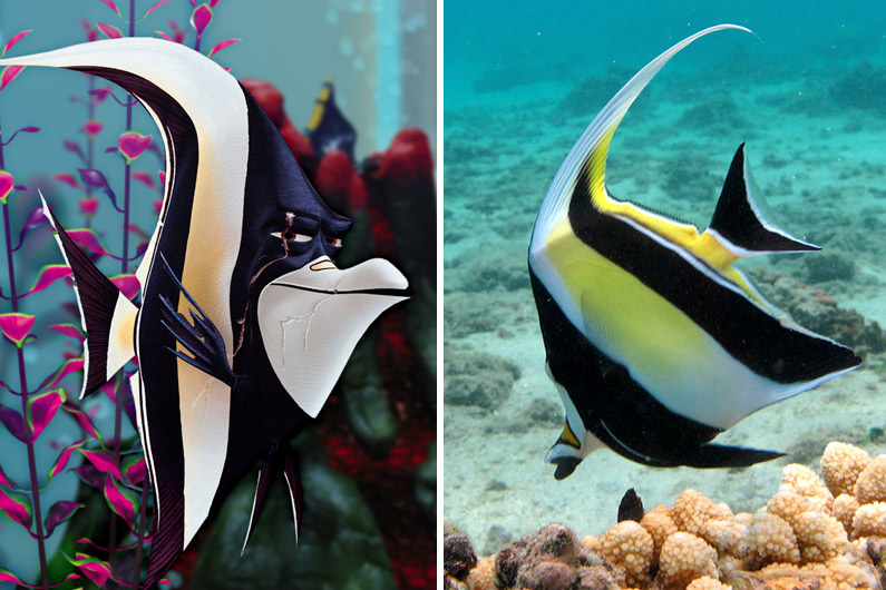 7783802999_gill-l-un-des-personnages-principaux-du-monde-de-nemo-est-un-zancle-cornu.jpg