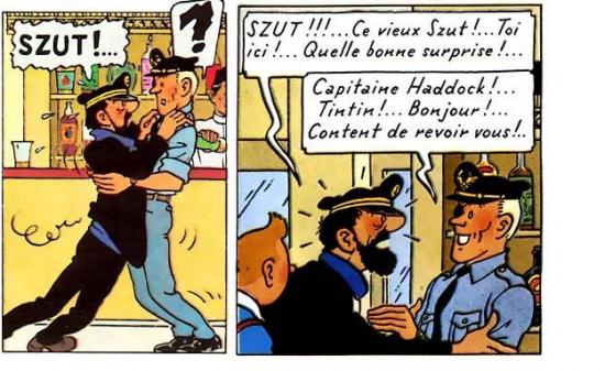 33552301a-szut-jpg.jpg