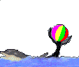 13030209540810180410922191.gif