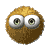 chevelu2.gif