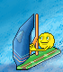 planche-voile.gif