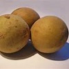 sapotille.jpg