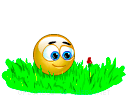 nouveaute16.gif