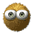 chevelus9.gif