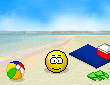 playa1.gif