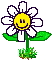 33558.gif