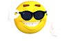 emoticon-1610518__340.png