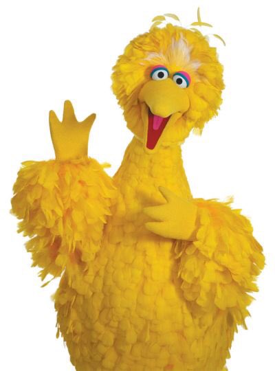 big bird.jpg