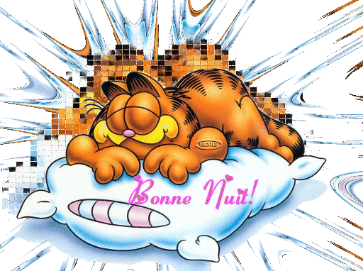 bonnenuit12.gif