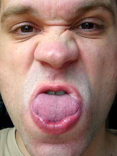 2493495081_4a92ec345f.jpg
