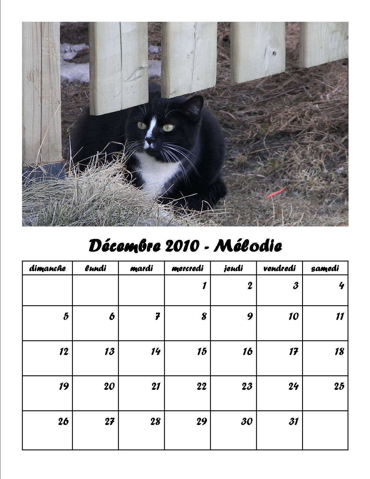 12 - Décembre 2010.jpg