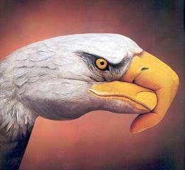 aigle.JPG