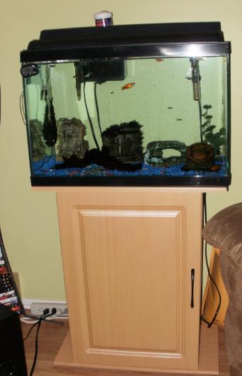 aquarium.jpg