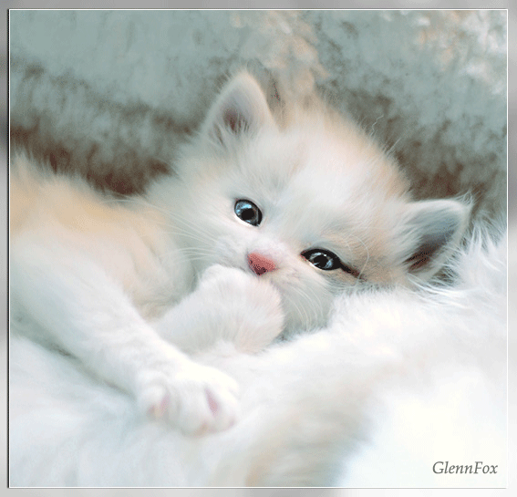 image001.gif