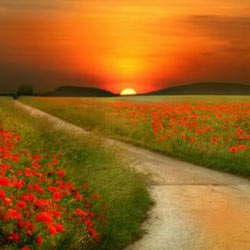 sunset11.jpg