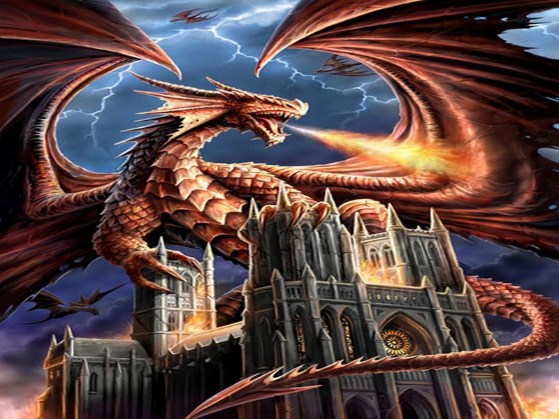 Dragons Fury by Anne Stokes.jpg