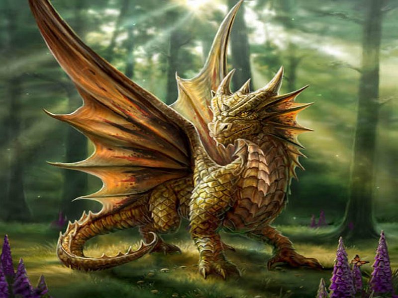 Forest_Walk_by_Anne_Stokes.jpg