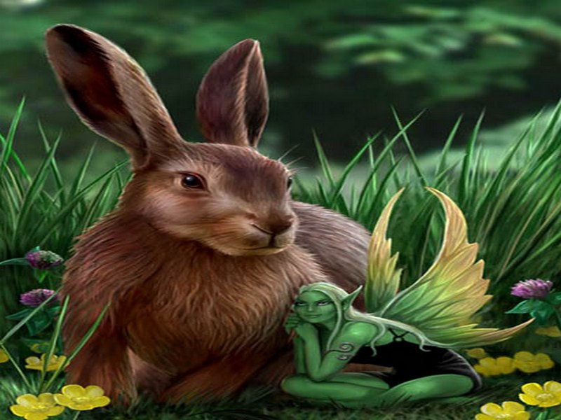 Hare and Sprite_ by Anne Stokes.jpg