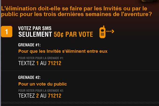 23aCapture.JPG