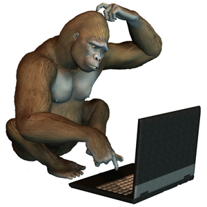 gorille-ordinateur-petit.jpg