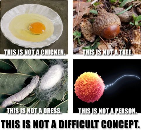 abortion.jpg