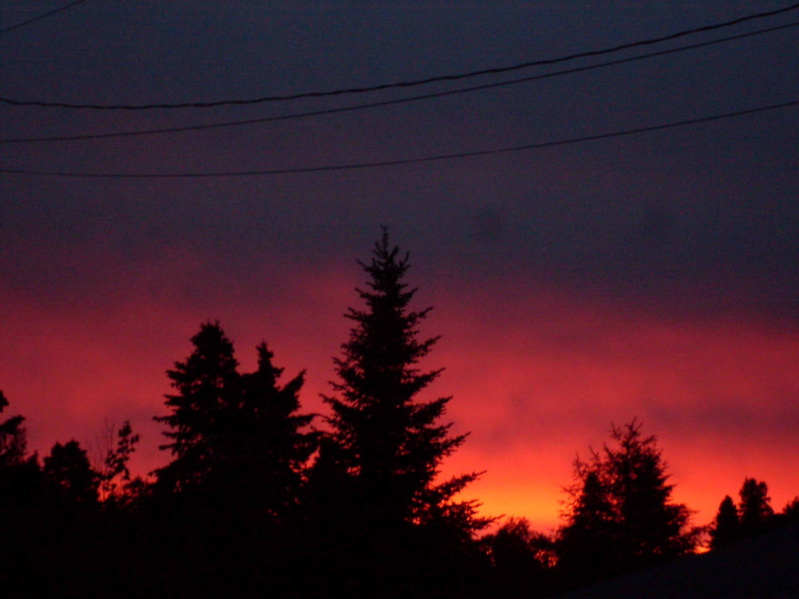 SDC12671.JPG