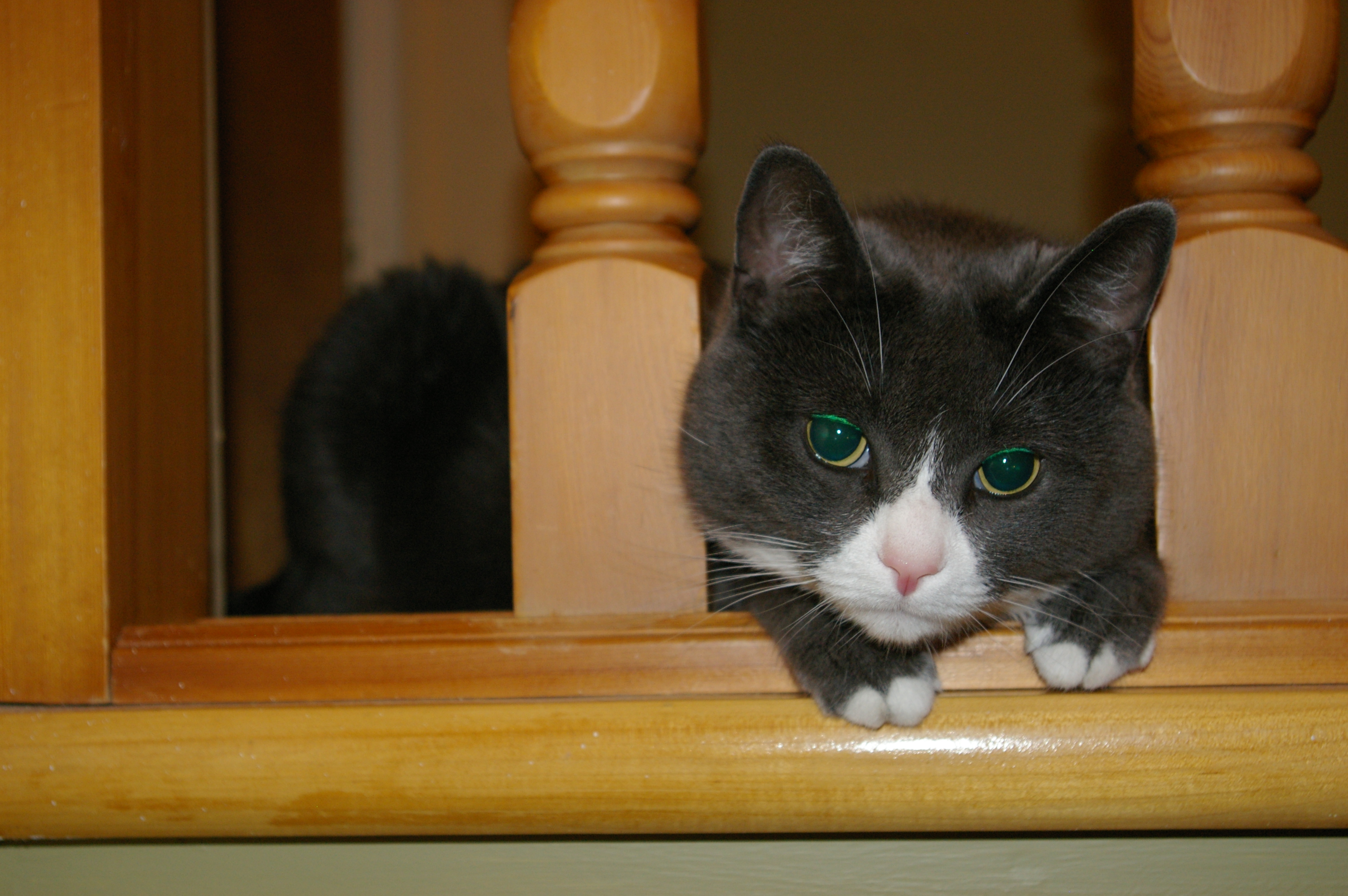 IMGP4147.JPG