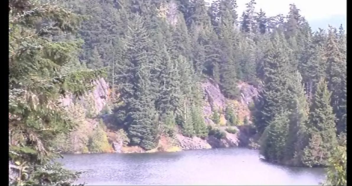 ScreenShot005.jpg