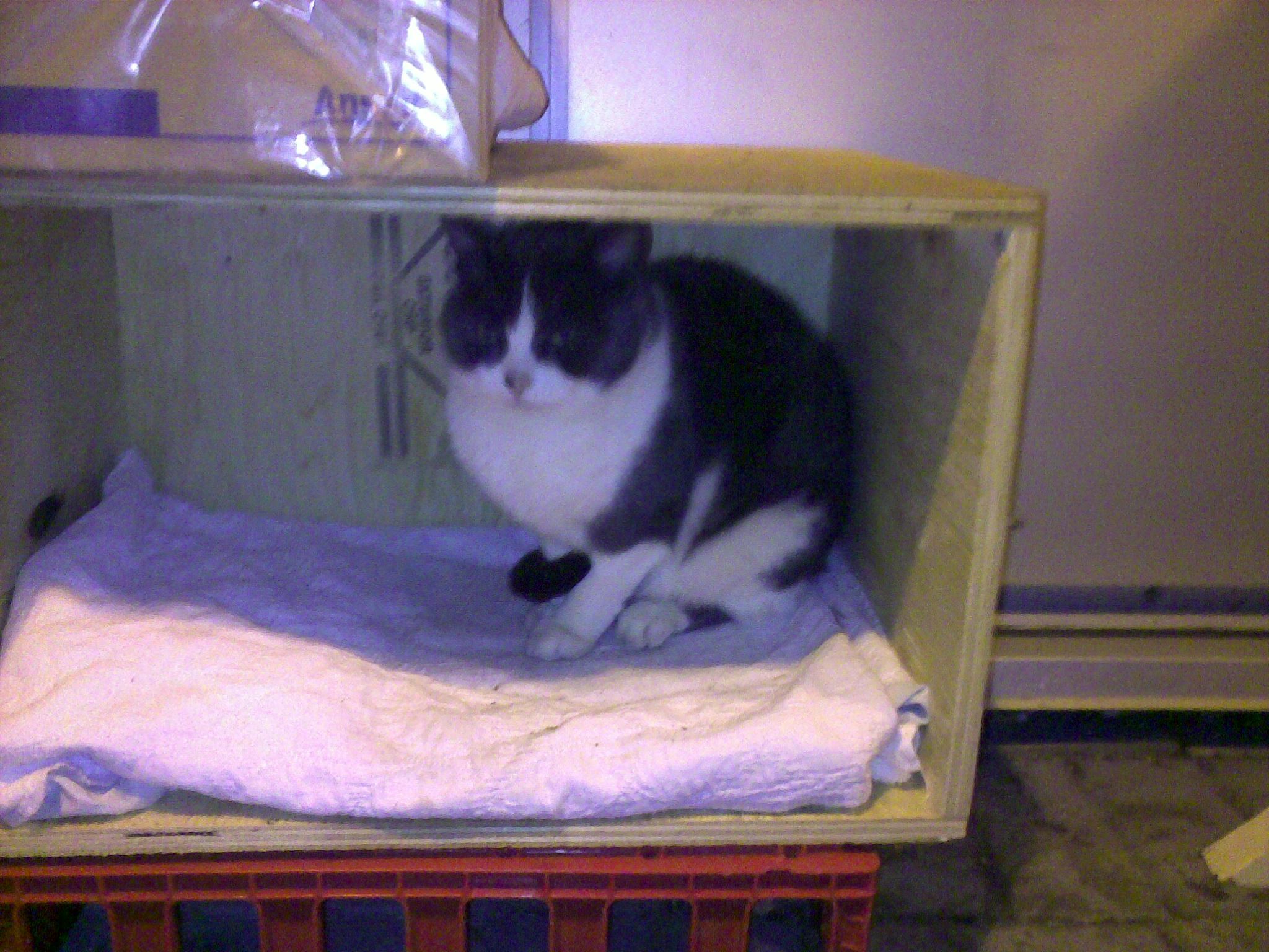 20101119103.jpg