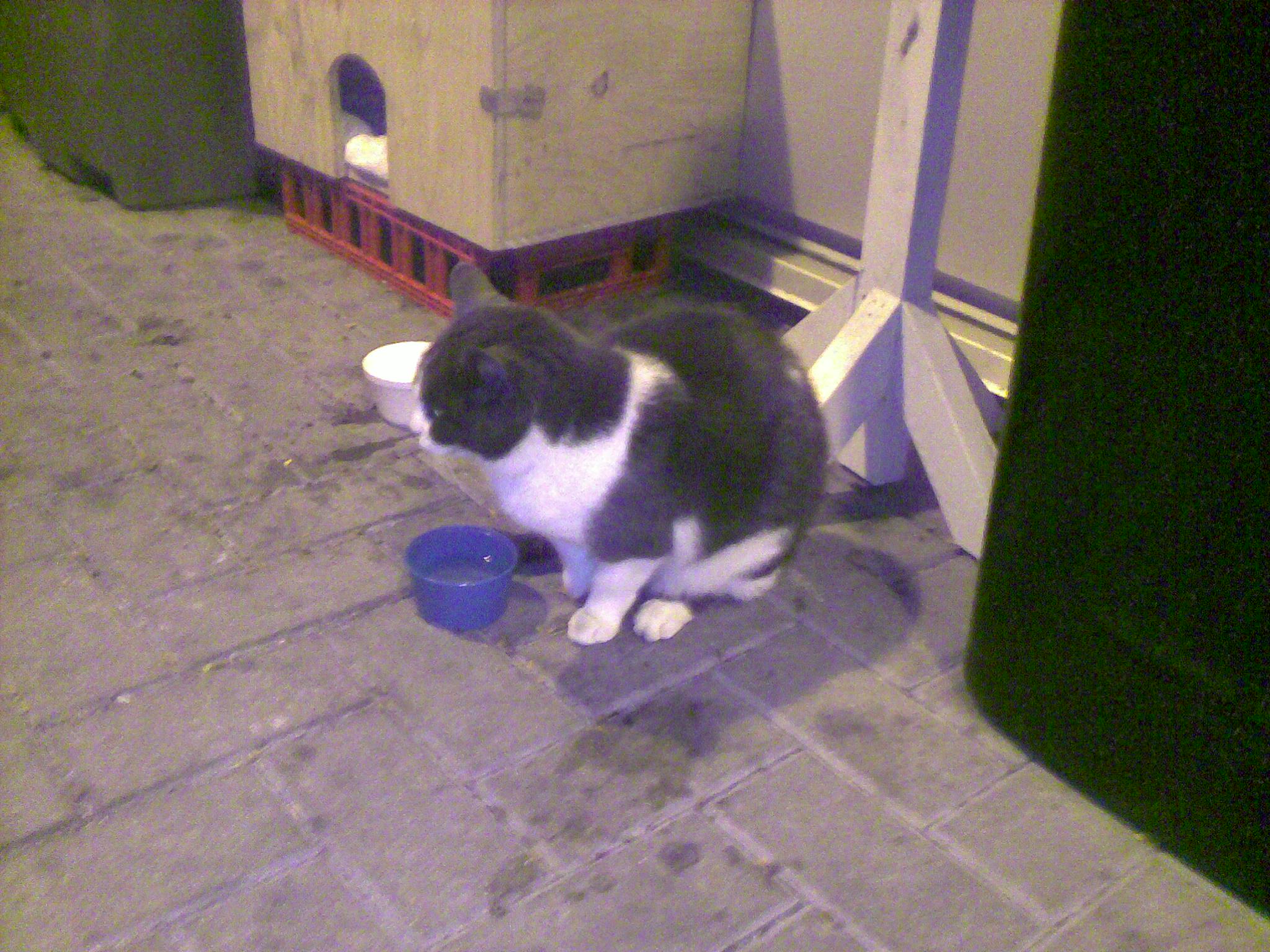 20101119115.jpg
