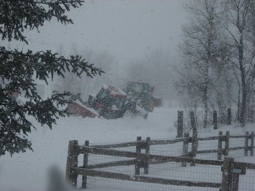 Temps 001.JPG