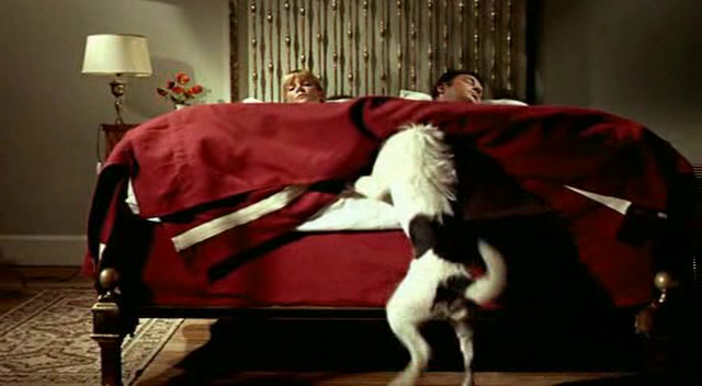 vlcsnap-2011-03-11-16h46m09s229.png
