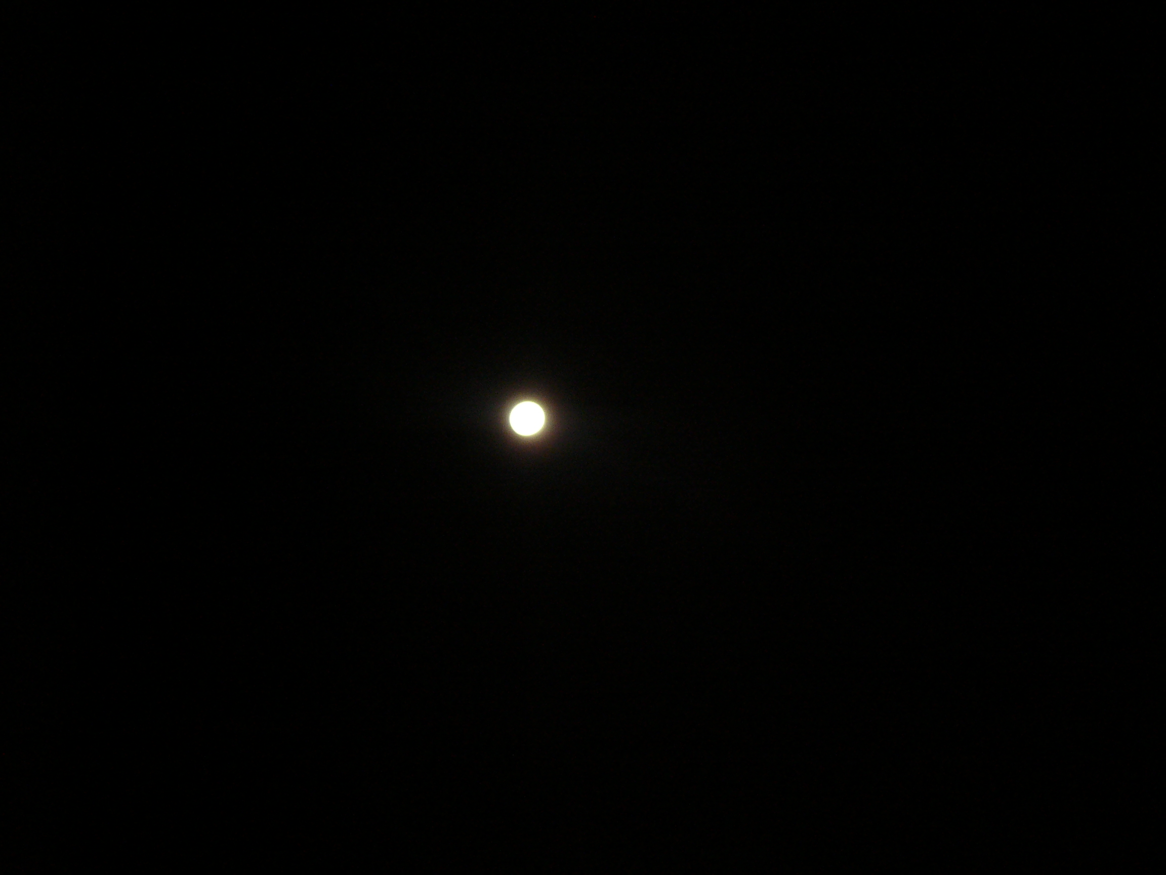 P1090362.JPG