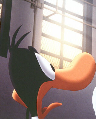 image de film.jpg