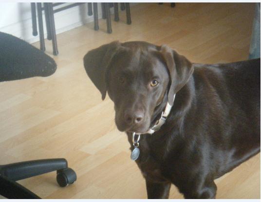 Jenny 2ans ½